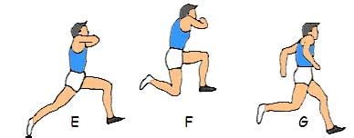 Image result for Step Phase Triple Jump