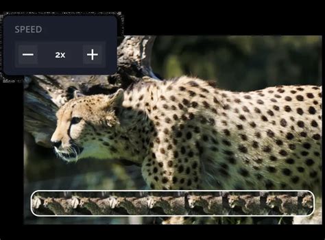 Image result for Speed Video Editing
