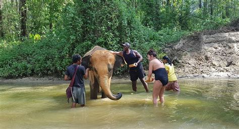 KHAO LAK ELEPHANT HOME - All You Need to Know BEFORE You Go 2026 (with ...