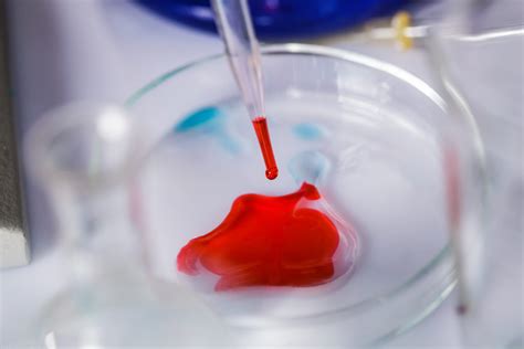 Image result for Cytotoxicity Testing