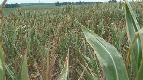 New Atrium Health Lake Norman hospital to open on July 1: What to ...