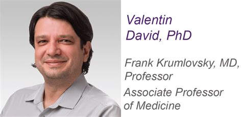 David Lab 的图像结果