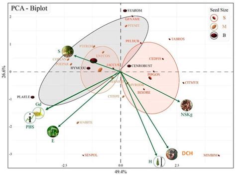 Seeds’ Early Traits as Predictors of Performance in Direct Seeding ...