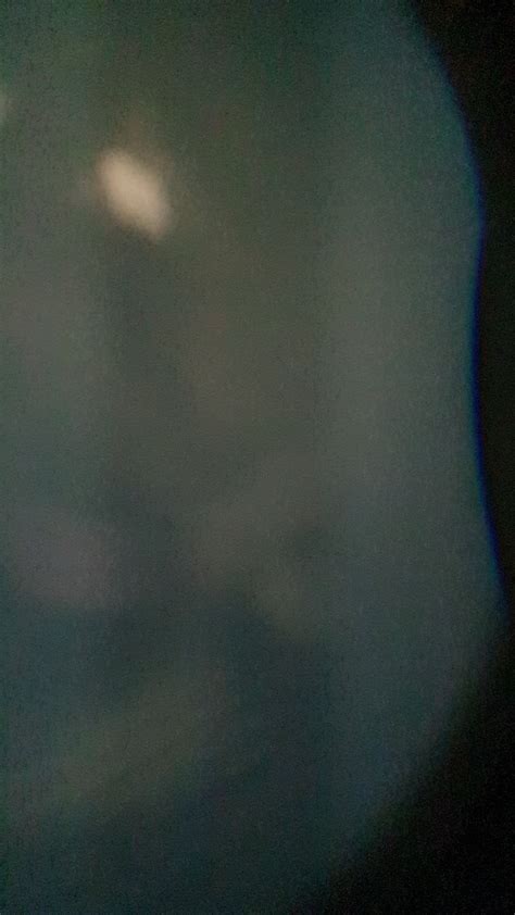 Image result for BoneLab Not Loading 00 PC