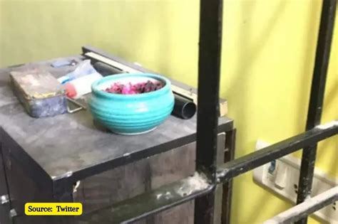 Shraddha murder: Forensic team was shocked to see crime scene