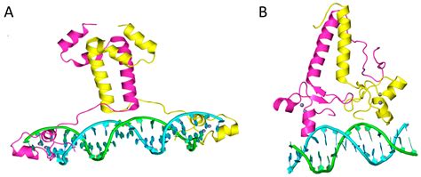 From Lipid Homeostasis to Differentiation: Old and New Functions of the ...