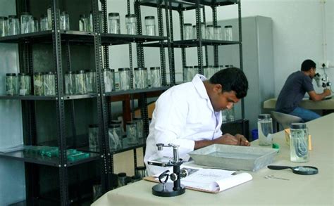 Advanced Centre of Environmental Studies and Sustainable Development ...