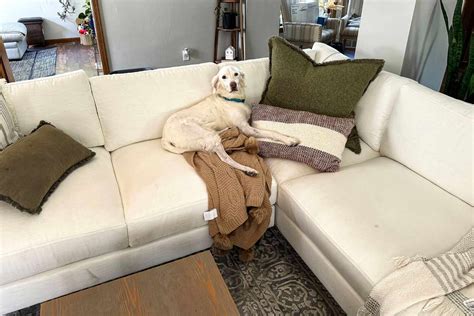 Best Sectional Sofas 的图像结果