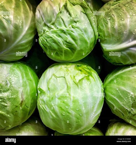Heads of cabbage on display at a farmers market Stock Photo - Alamy