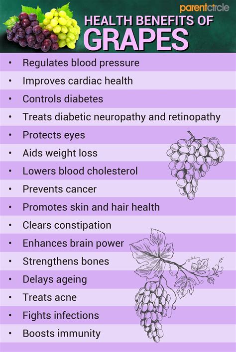 Grapes Nutritional Value per 100g, Grapes Health Benefits & Nutrition Facts, Grapes Calories and ...