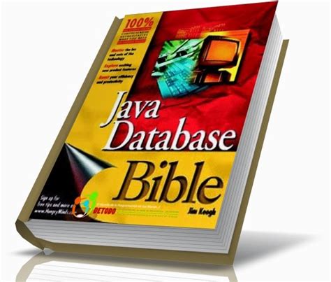 Database Programming Java 的图像结果
