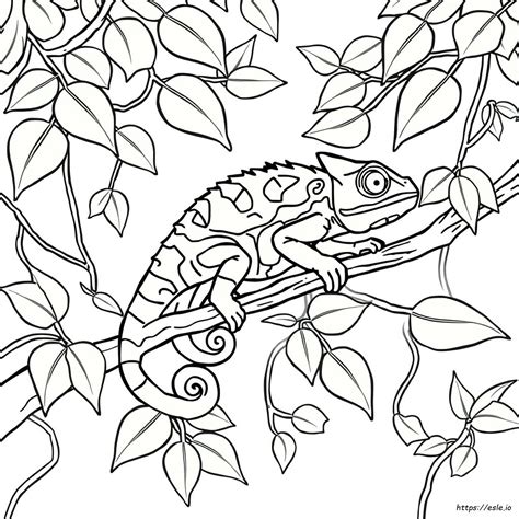 Chameleon Coloring Pages Free