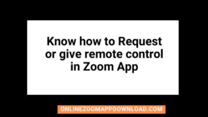 Image result for How Does 1 Request Control in Zoom