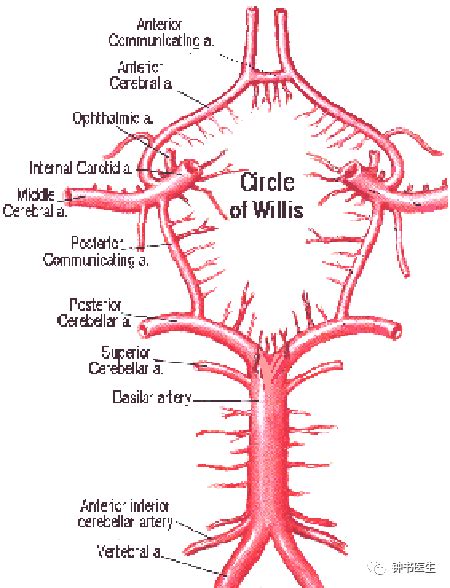 Image result for Alien Science Diagram