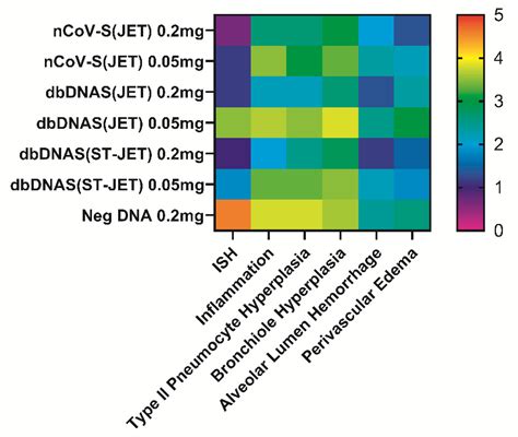 SARS-CoV-2 Doggybone DNA Vaccine Produces Cross-Variant Neutralizing ...