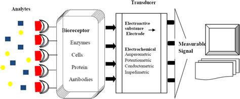 Image result for How Does a Biosensor Work