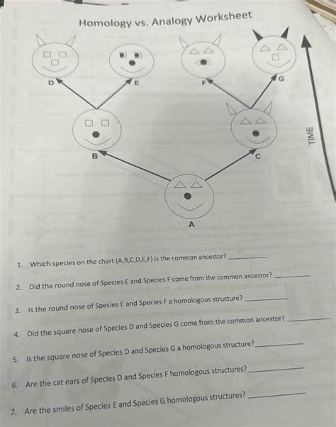 Homology vs. Analogy Worksheet > 1. Which species on the chart (A, B, C ...