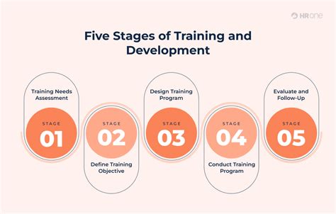 Training Process 的图像结果