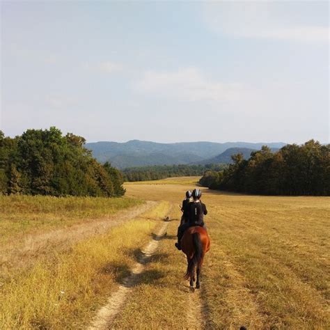 Exploring the ancient English Ridgeway in the saddle - Harpers bazaar