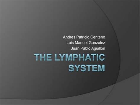 Lymphatic System Lecture 的图像结果