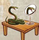 The Snake and the Mirror (Glossary : Meanings with pictures) for 9th ...