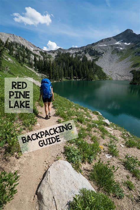 Backpacking to Salt Lake City's Red Pine Lake | Lake, Pine lake, Utah ...