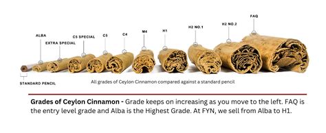 FYN Ceylon Cinnamon Sticks (200g) - Authentic True Sri Lankan Dalchini ...