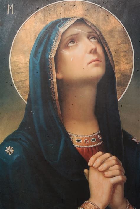 ZEPHYRINUS.: The Immaculate Conception Of The Blessed Virgin Mary ...