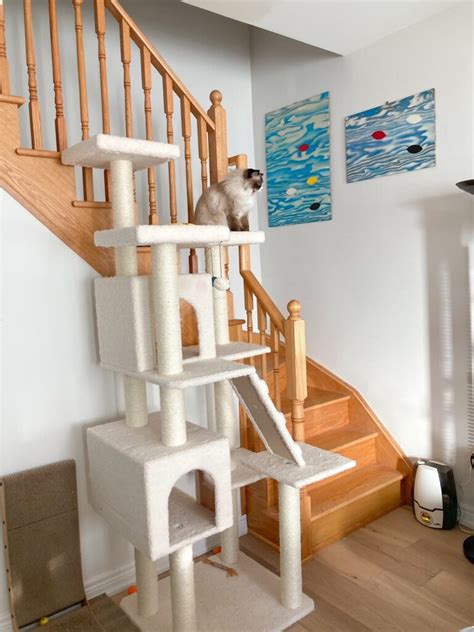 Image result for Rust Cat Tree