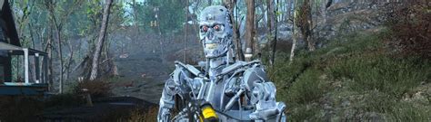 Image result for Fallout 4 Terminator Mod