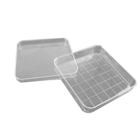 Wildco Gridded Petri Dish 7 x 3.5 x 3.5 in x10 Units - BIOWEB USA