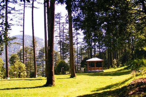 Trekking Near Dehradun: 14 Best Spots You Should Not Ignore In 2026