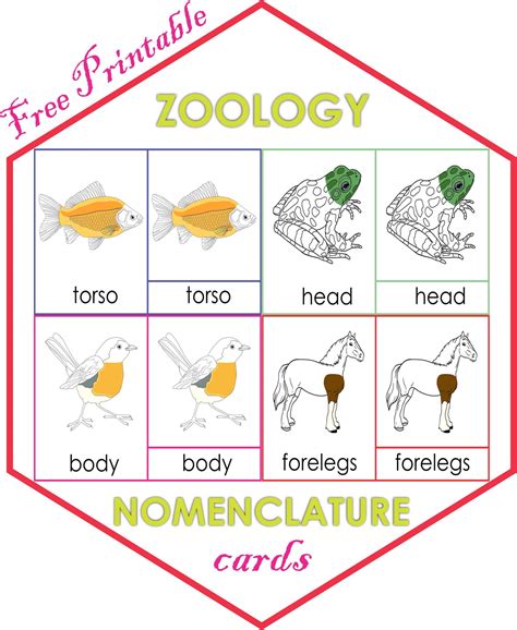 Parts Of Zoology
