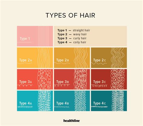 Types of Hair: How to Style and Care for Your Hair Type | Hair type, Type 2b, Natural hair care