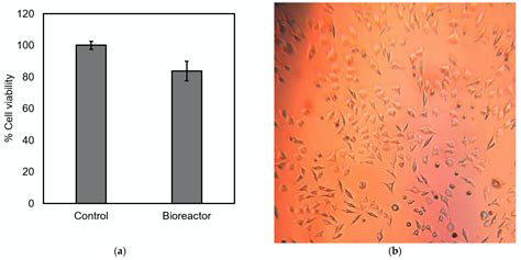 Automatic Programmable Bioreactor with pH Monitoring System for Tissue ...