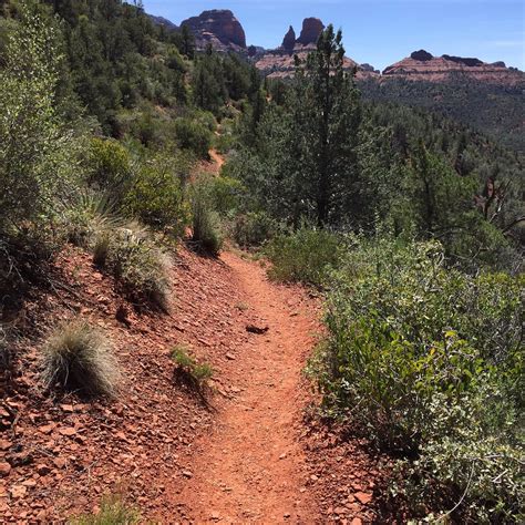 Mount Wilson Trail (Sierra Madre): All You Need to Know