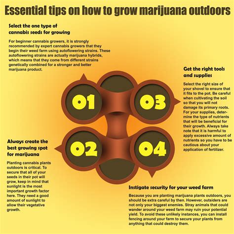 Essential tips on how to grow marijuana outdoors : u/autoflowermj420seeds