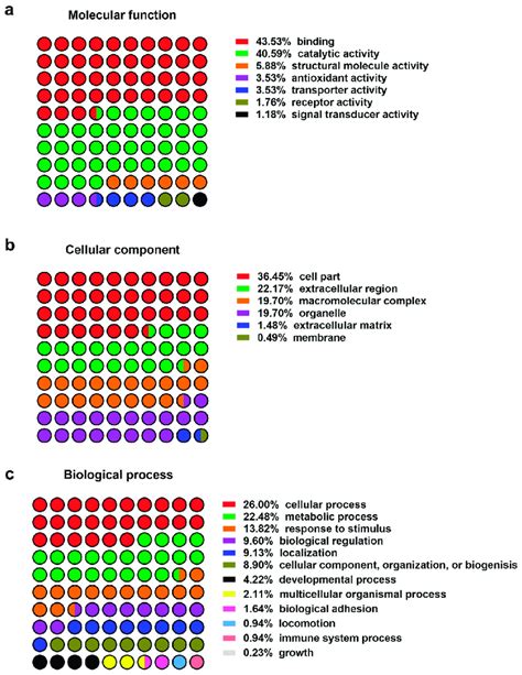 Image result for Protein Classification