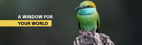 Sony ILCE-6700 | Sony Alpha Community