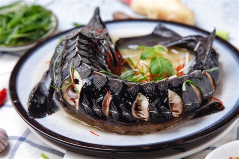 3款鲟鱼的做法 怎么做好吃的鲟鱼→MAIGOO美食