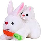 Buy Babique Richy Toys Plush Cute Rabbit Soft Toys (Pink, 26 cm) Online ...