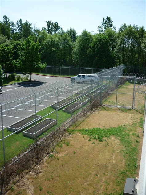 Multnomah County unveils Inverness Jail's community garden - Portland ...