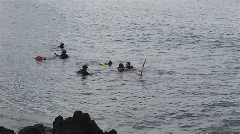 Scuba Mike (Lahaina) - All You Need to Know BEFORE You Go