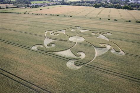 Etchilhampton Hill | Lucy Pringle – Crop Circle Research UK