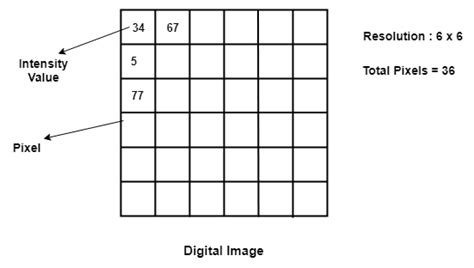Digital Image Example 的图像结果