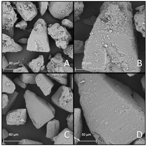 In-Depth Comparison of Dry Particle Coating Processes Used in DPI ...