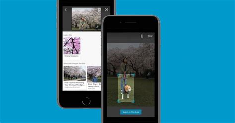 Search Using Camera in Bing 的图像结果