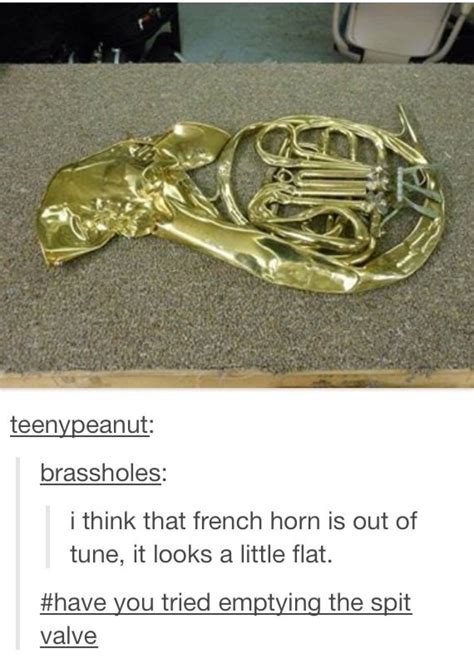 120+ French Horn Memes, Jokes & Puns To Make You Laugh