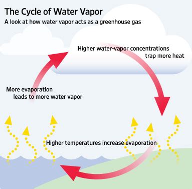 Image result for Negative Feedback Loop Global Warming