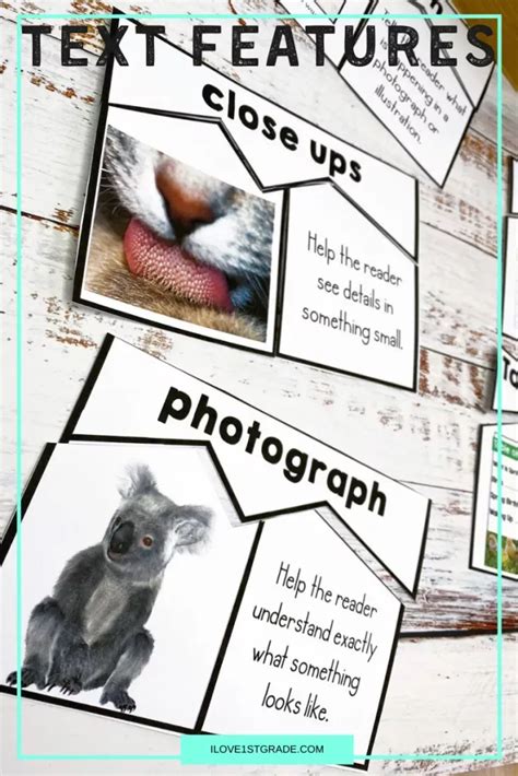 Teaching Text Features 的图像结果